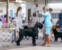 20240330-DSC01722