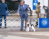 20240330-DSC01718