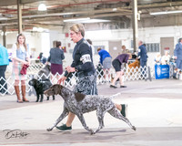 20240330-DSC01745