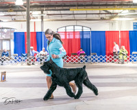 20240330-DSC01755