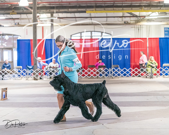 20240330-DSC01755