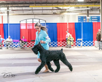 20240330-DSC01751