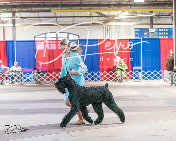 20240330-DSC01751