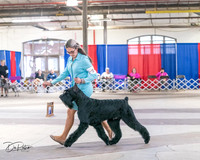 20240330-DSC01759