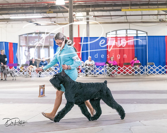 20240330-DSC01759