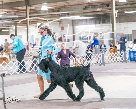 20240330-DSC01782