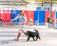 20240330-DSC01789