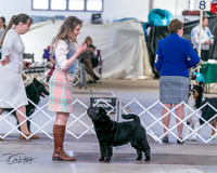 20240330-DSC01712