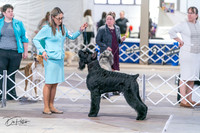 Best in Show 3/30/24