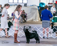 20240330-DSC01713
