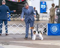 20240330-DSC01716