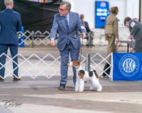 20240330-DSC01717