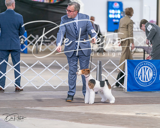 20240330-DSC01717