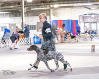 20240330-DSC01738