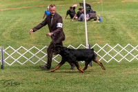 20250628-DSC08051