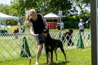 20190609-DSC09430