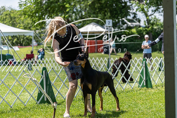 20190609-DSC09430