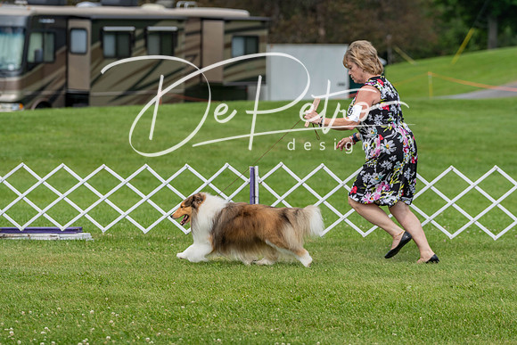 20190629-DSC02715