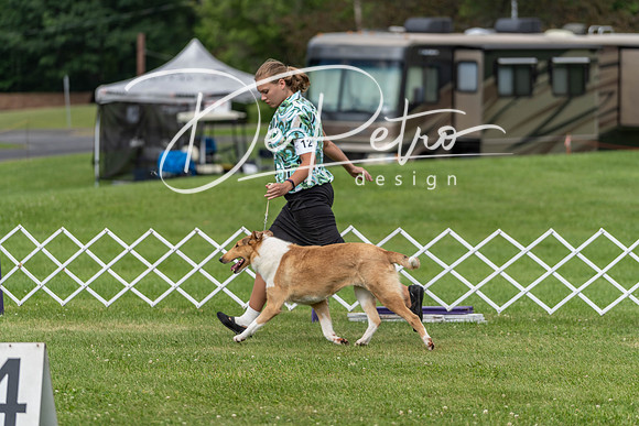 20190629-DSC02711