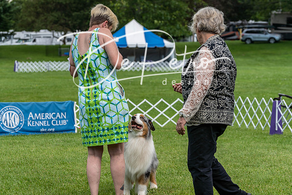 20190629-DSC02758