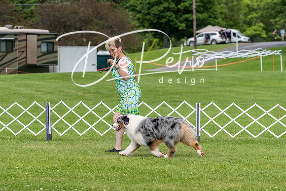20190629-DSC02766