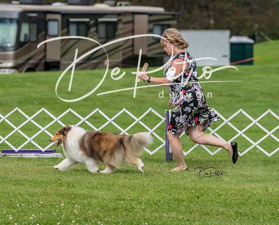 20190629-DSC02717-Edit
