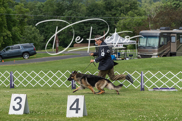20190629-DSC02729