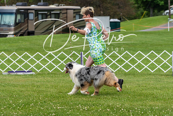 20190629-DSC02756