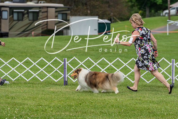 20190629-DSC02713