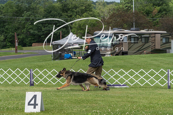 20190629-DSC02727