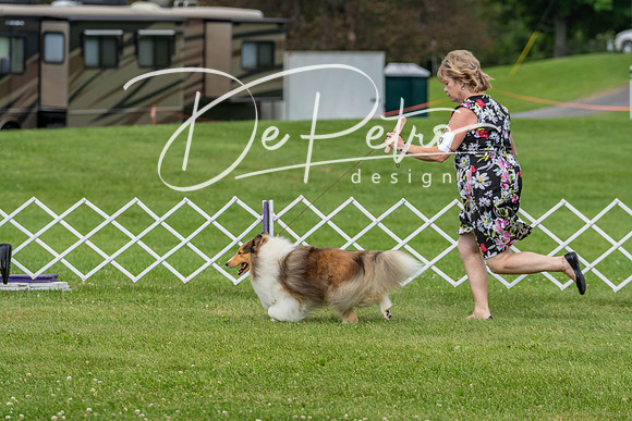 20190629-DSC02714