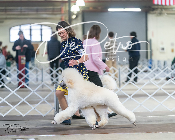 20240328-DSC00600
