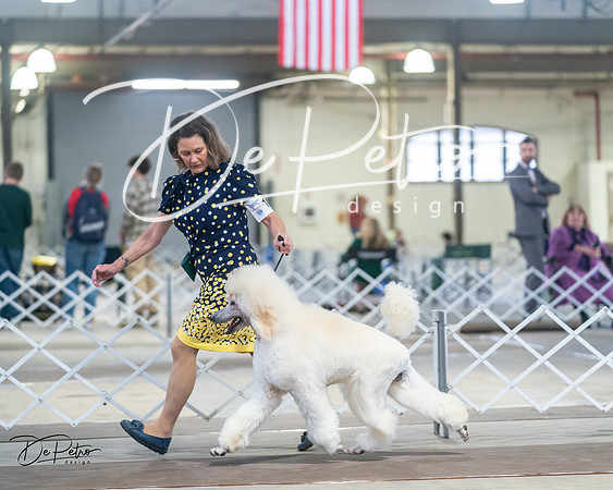 20240328-DSC00643