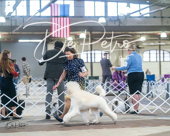 20240328-DSC00672