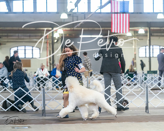 20240328-DSC00681