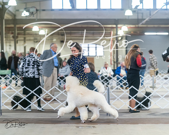 20240328-DSC00689