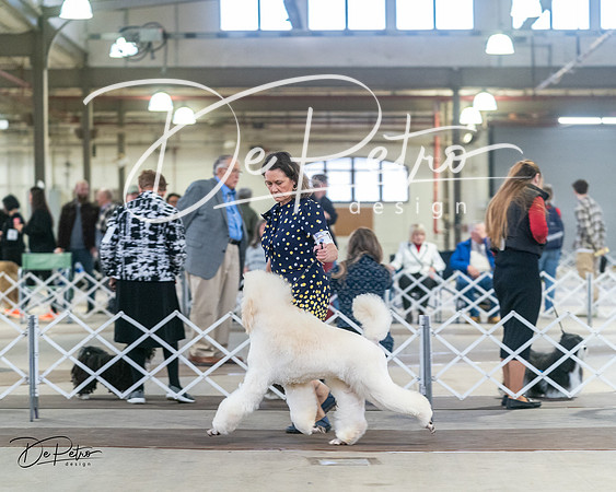 20240328-DSC00690