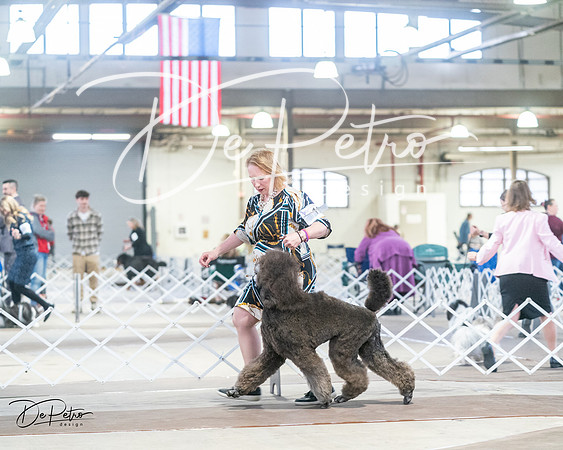 20240328-DSC00696