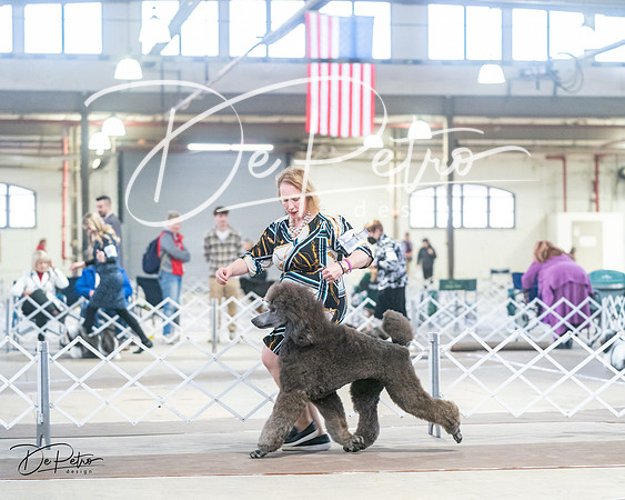 20240328-DSC00702