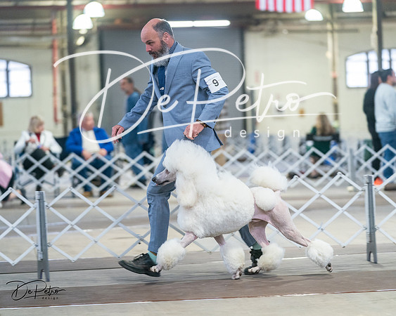 20240328-DSC00728