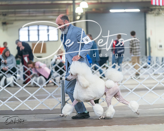 20240328-DSC00733