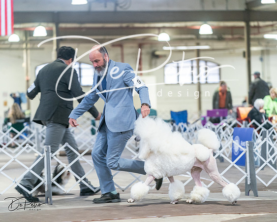 20240328-DSC00782