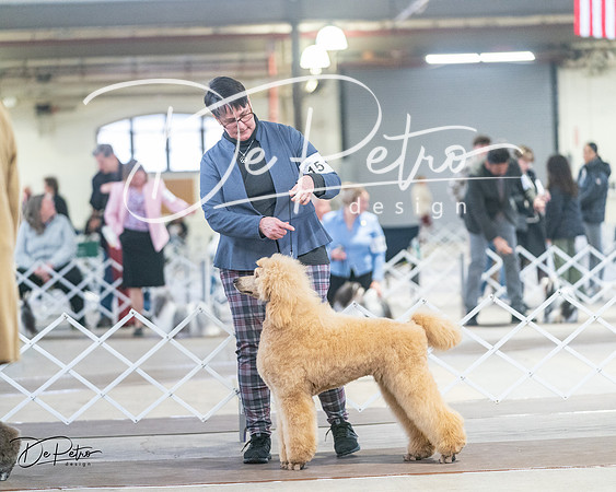 20240328-DSC00846