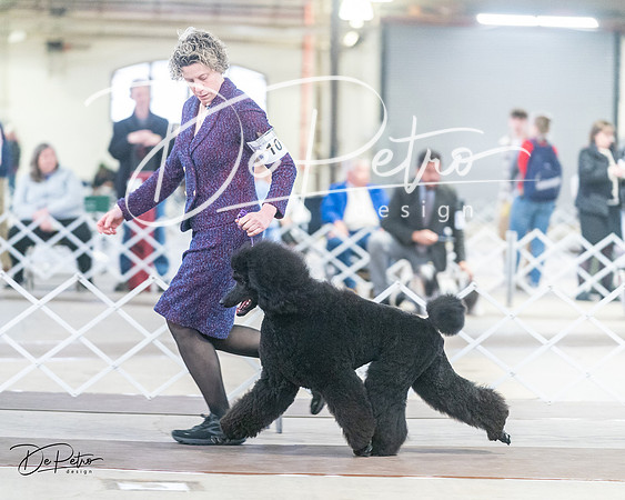 20240328-DSC00898