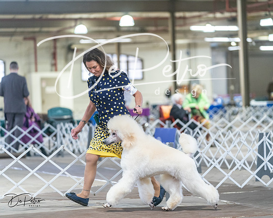 20240328-DSC00573