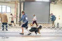 20240328-DSC01281