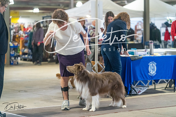 20240328-DSC01318