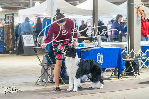 20240328-DSC01343