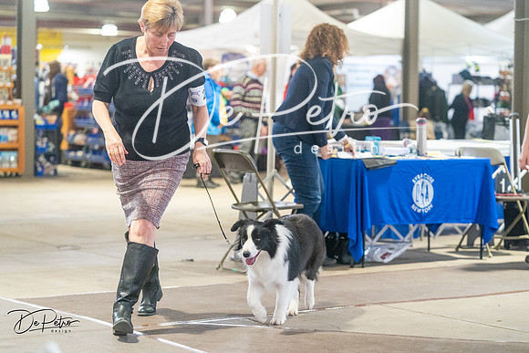 20240328-DSC01427