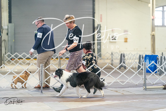 20240328-DSC01460